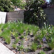 Aanleg van totaalproject te Borgerhout - april 2019