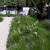 Aanleg van totaalproject te Borgerhout - mei 2019
