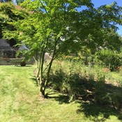 Totaalproject te Hélécine - Organische vormgeving met graspartij, verzinkte afboording en beplanting