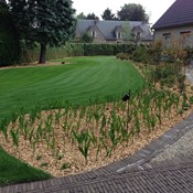 Totaalproject te Herentals - Organische vormgeving met aanleg van graspartij, oprit in kleiklinker en dolomiet, afboording en beplanting