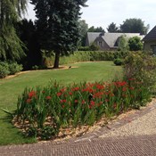 Totaalproject te Herentals - Organische vormgeving met aanleg van graspartij, oprit in kleiklinker en dolomiet, afboording en beplanting